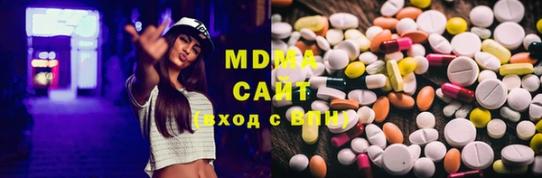 индика Козельск