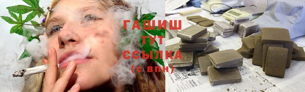 индика Козельск