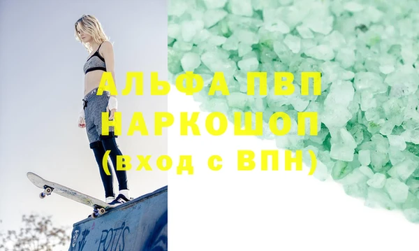 индика Козельск