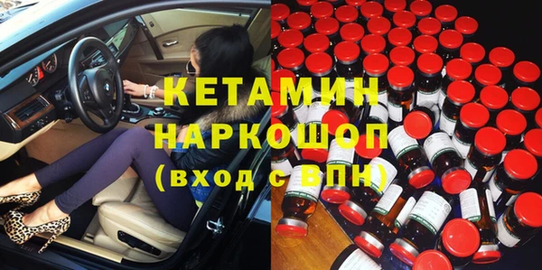 индика Козельск