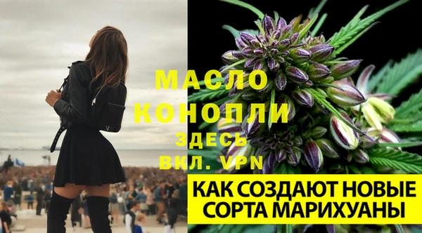 прущая мука Кодинск