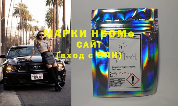 индика Козельск