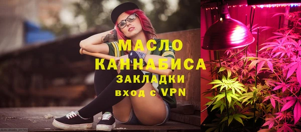 индика Козельск