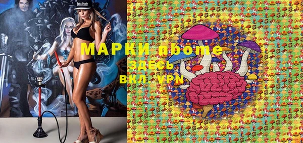 индика Козельск