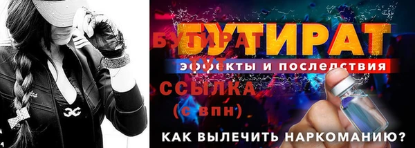 индика Козельск