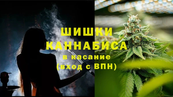тгк Козловка