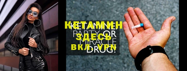 индика Козельск