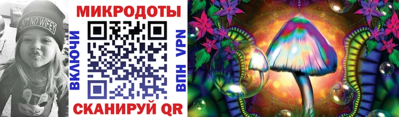 Псилоцибиновые грибы Psilocybine cubensis Ессентукская